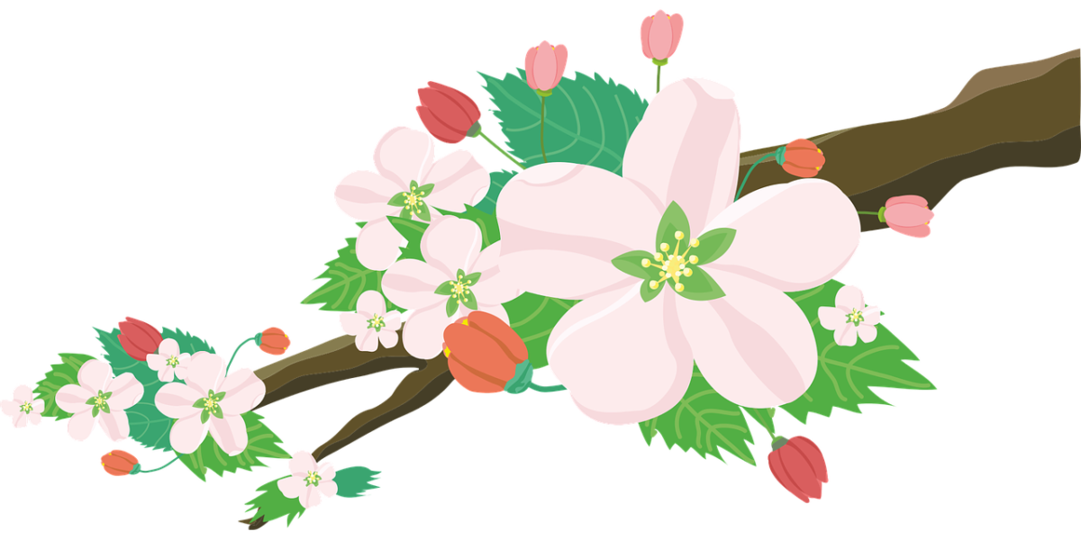 E' arrivata la primavera