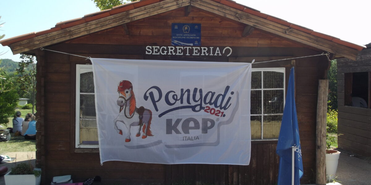 Ponyadi 2022